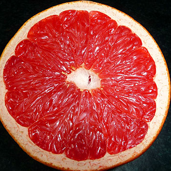 does grapefruit burn fat