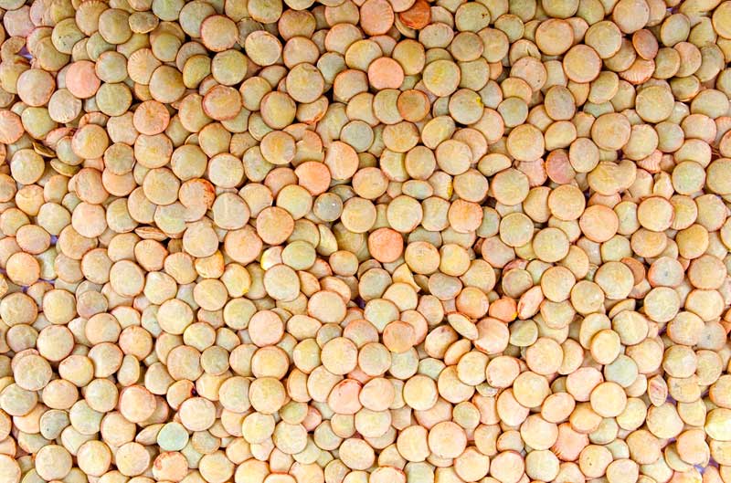 Lentils